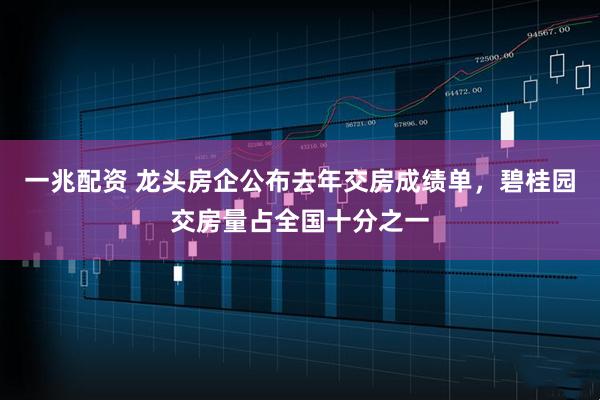 一兆配资 龙头房企公布去年交房成绩单，碧桂园交房量占全国十分之一