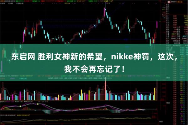 东启网 胜利女神新的希望，nikke神罚，这次，我不会再忘记了！