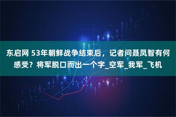 东启网 53年朝鲜战争结束后，记者问聂凤智有何感受？将军脱口而出一个字_空军_我军_飞机