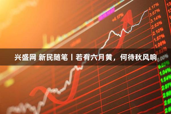 兴盛网 新民随笔丨若有六月黄，何待秋风响