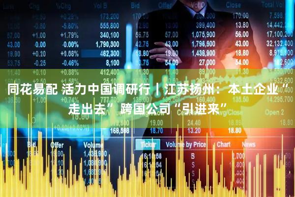 同花易配 活力中国调研行｜江苏扬州：本土企业“走出去” 跨国公司“引进来”